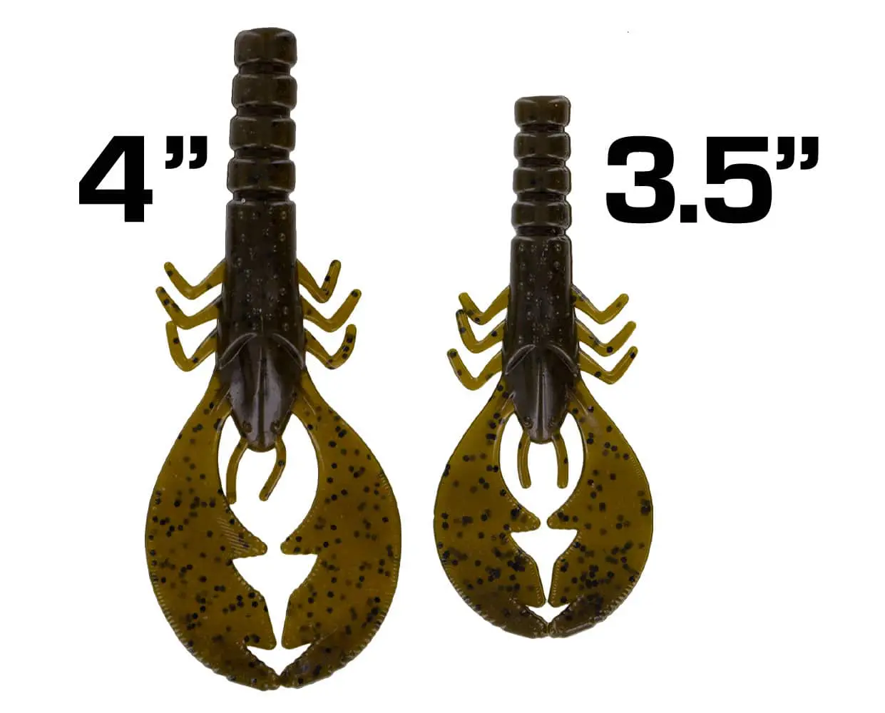 College Craw - Image 4
