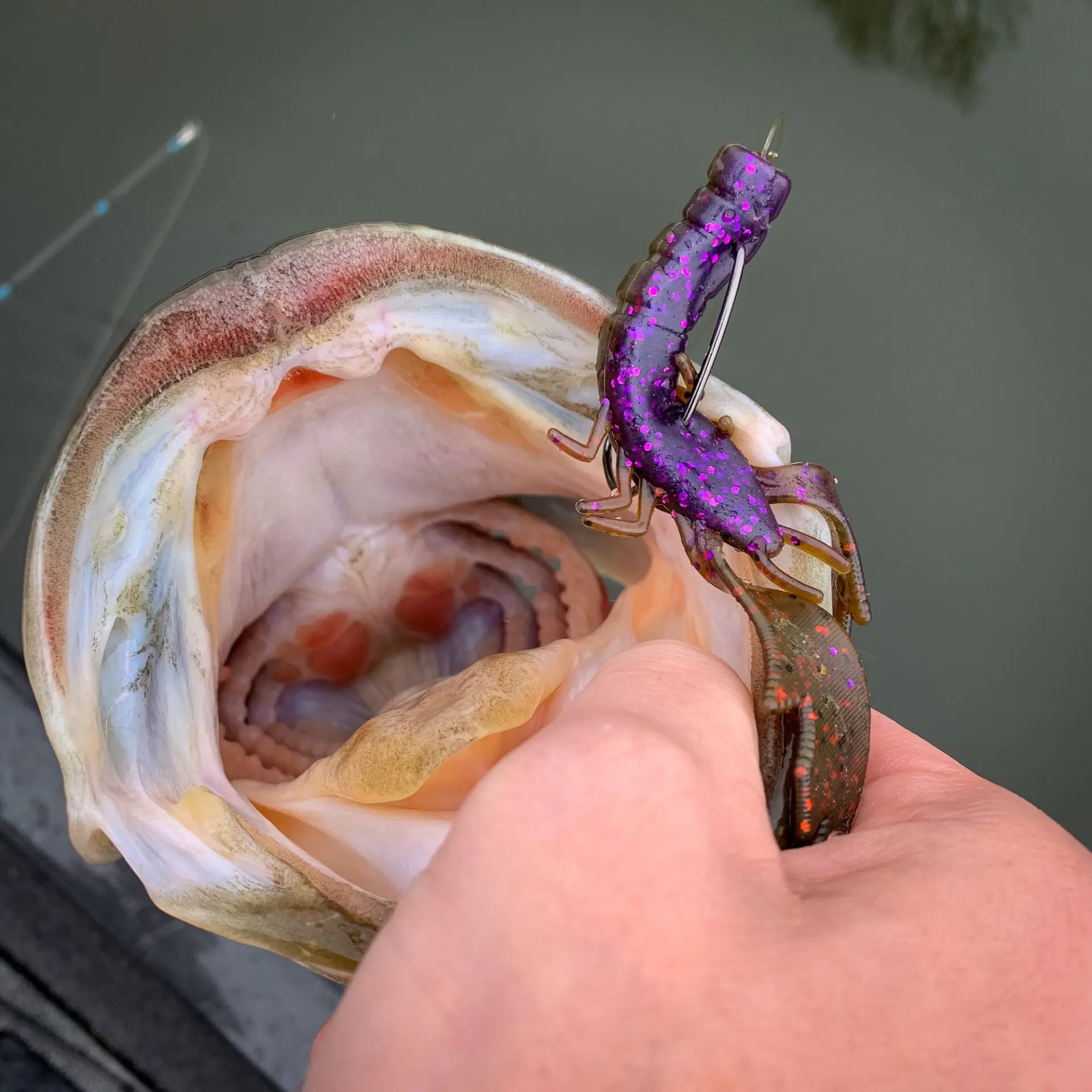 College Craw - Image 2