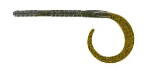 Big bite baits b2 worm in various colors