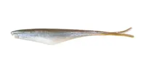 Big bite baits jerk minnow