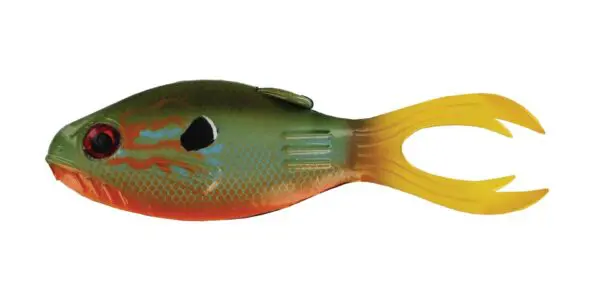 Warmouth