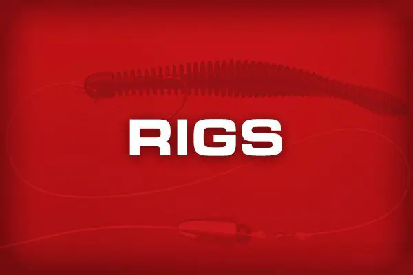 rigs