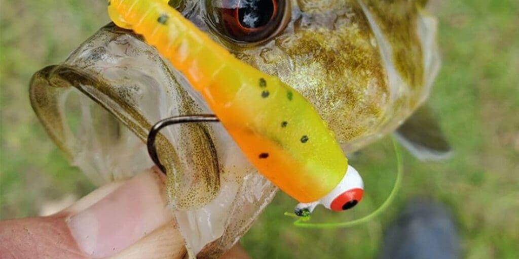 TERMINAL TACKLE Archives Big Bite Baits