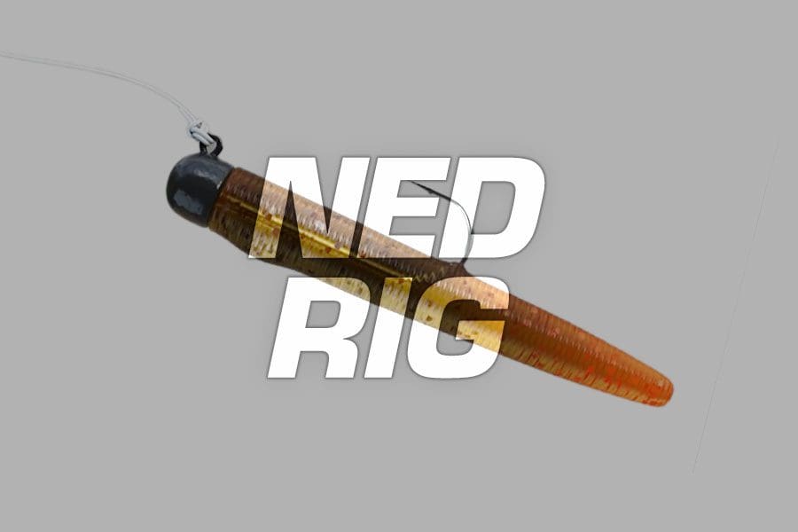 ned rig - Big Bite Baits