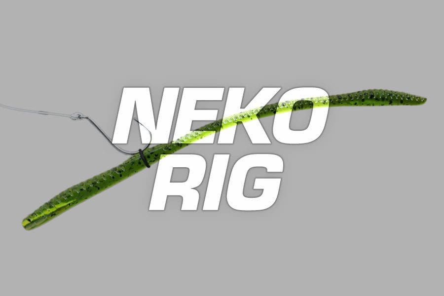 neko rig