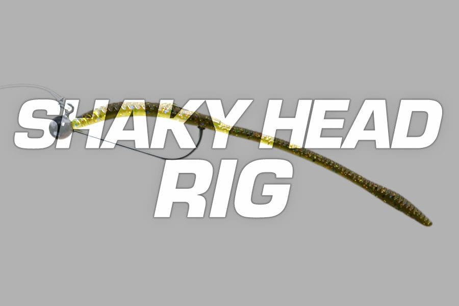 shaky head - Big Bite Baits