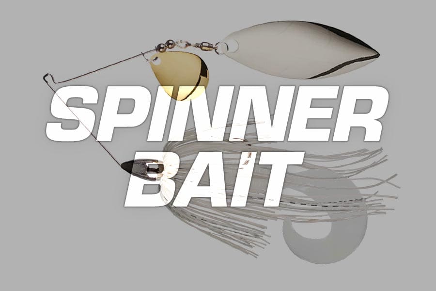 spinnerbait