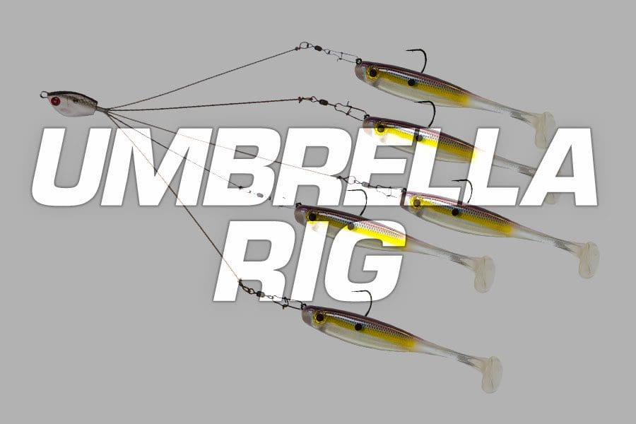 umbrella rig - Big Bite Baits